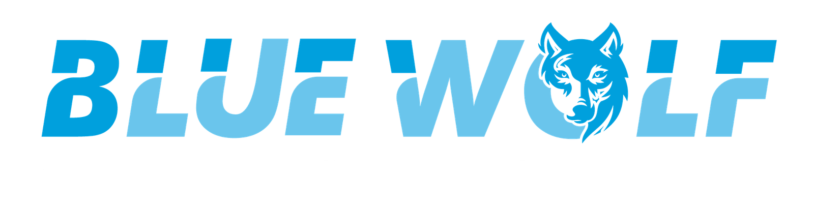 Blue Wolf RV Logo