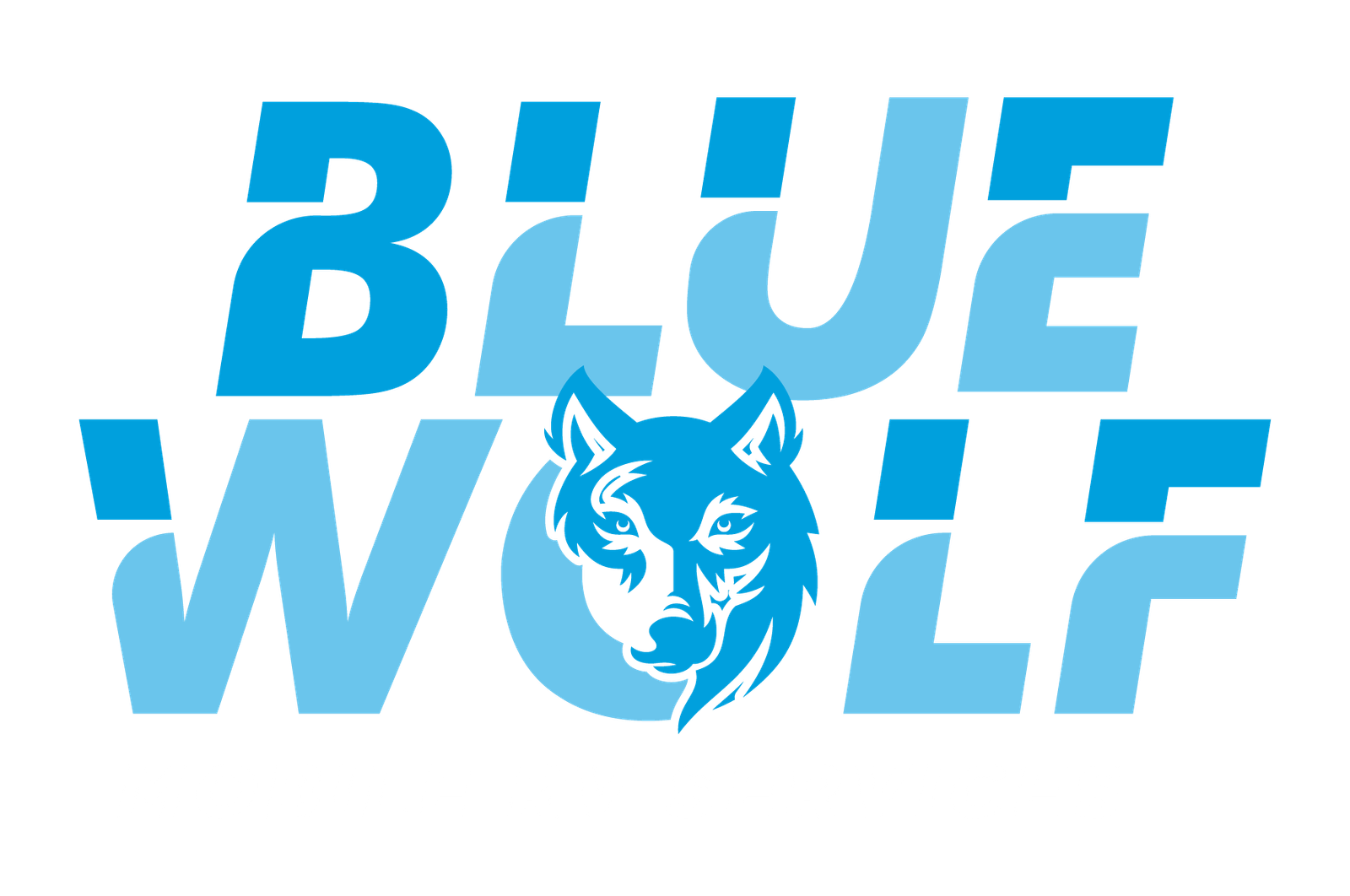 Blue Wolf Mobile RV Services